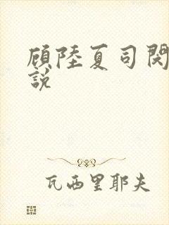 顾陆夏司闵郁小说