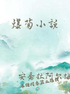 爆菊小说