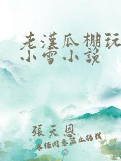 老汉瓜棚玩小丹小雪小说