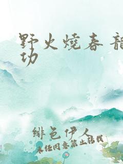 野火烧春 龙鸣功