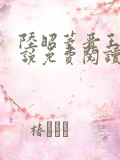 陆昭菱晋王的小说免费阅读