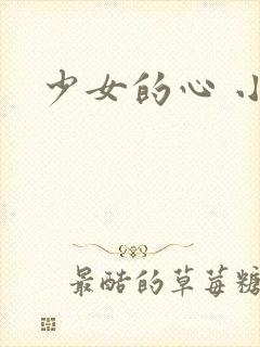 少女的心 小说