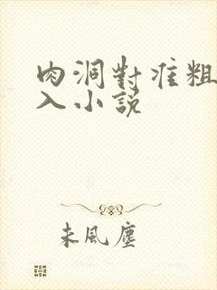 肉洞对准粗大坐入小说