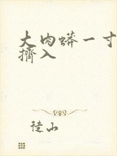 大肉蟒一寸一寸挤入