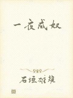 一夜成奴