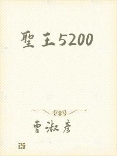 圣王5200