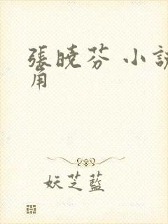 张晓芬 小说主角