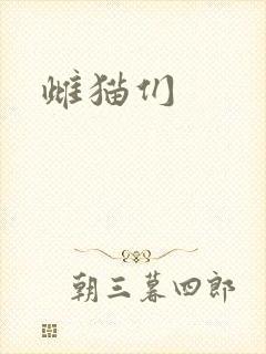 雌猫们