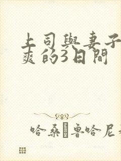 上司与妻子干到爽的3日间