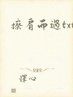 擦肩而过txt
