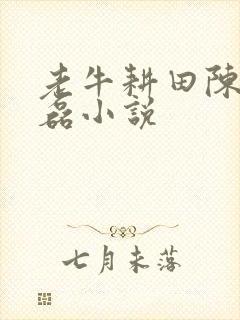 老牛耕田陈雪王磊小说