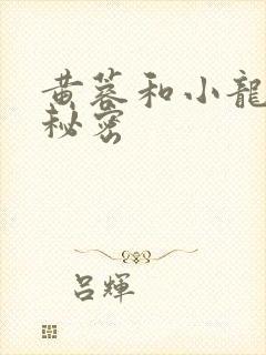 黄蓉和小龙女的秘密