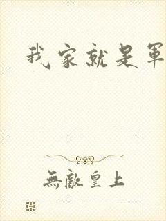 我家就是军火铺