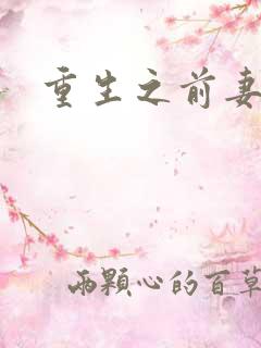 重生之前妻之惑