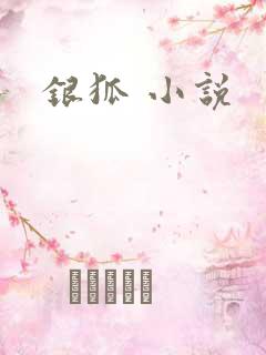 银狐 小说