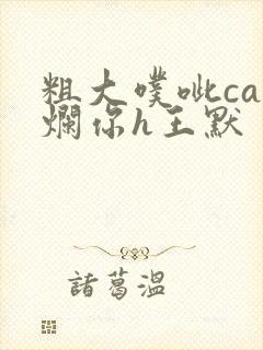 粗大噗呲cao烂你h王默