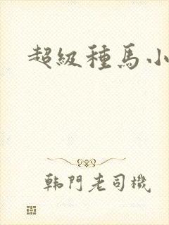 超级种马小说
