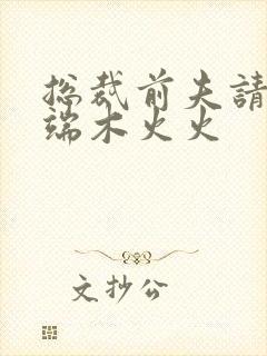 总裁前夫请自重端木火火