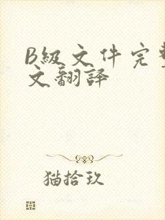 B级文件完整中文翻译
