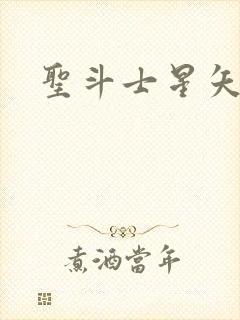 圣斗士星矢小说