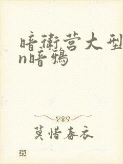 暗卫营大型hpn暗鸦