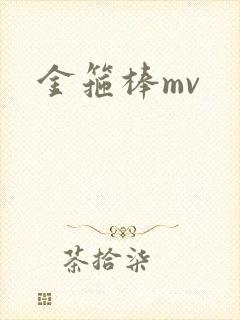 金箍棒mv