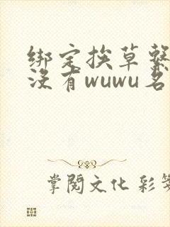 绑定挨草系统后没有wuwu名字