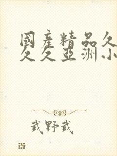 国产精品久久久久久亚洲小说