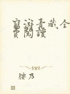 穷游青藏全文免费阅读