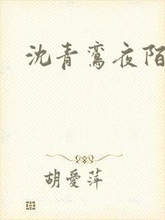 沈青鸾夜陌凌