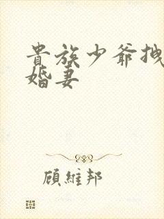 贵族少爷拽拽未婚妻