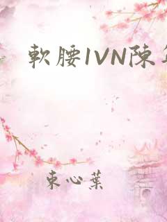 软腰1VN陈年