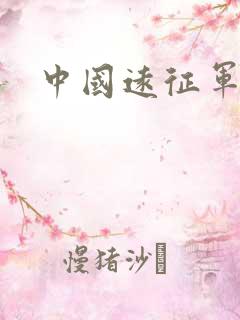 中国远征军下载