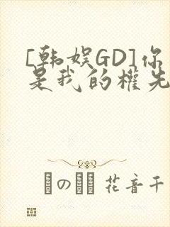 [韩娱GD]你是我的权先生