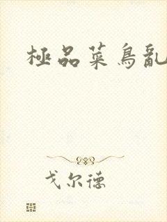 极品菜鸟乱江湖