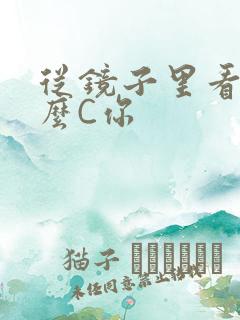 从镜子里看我怎么C你