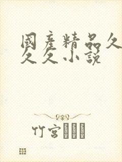 国产精品久久久久久小说