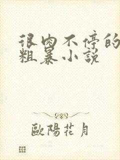 很肉不停的做很粗暴小说