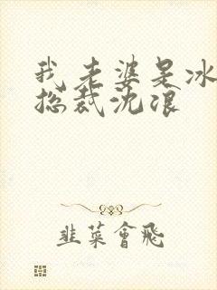 我老婆是冰山女总裁沈浪