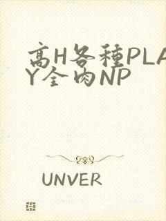 高H各种PLAY全肉NP