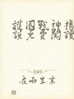 护国战神杨风小说免费阅读