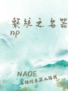 系统之名器攻略np