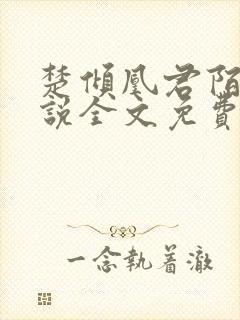 楚倾凰君陌尘小说全文免费阅读