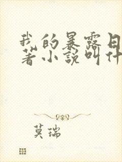 我的暴露日记原著小说叫什么