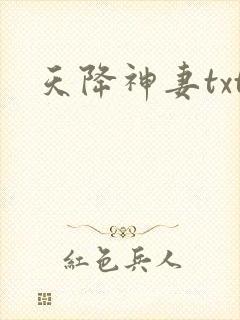 天降神妻txt