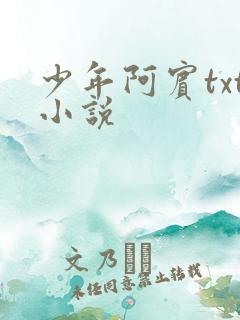 少年阿宾txt小说