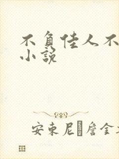 不负佳人不负卿小说