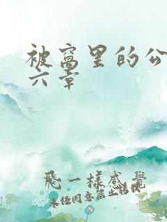 被窝里的公息第六章