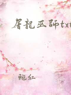 屠龙巫师txt