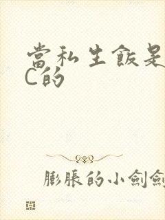 当私生饭是要挨C的